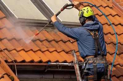Démoussage et hydrofuge de toiture à Torteron